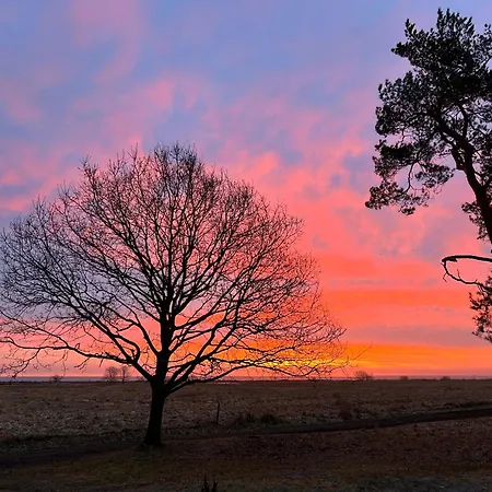 Feriehus Strandhytten