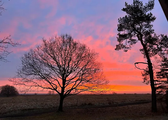 Vakantiehuis Strandhytten